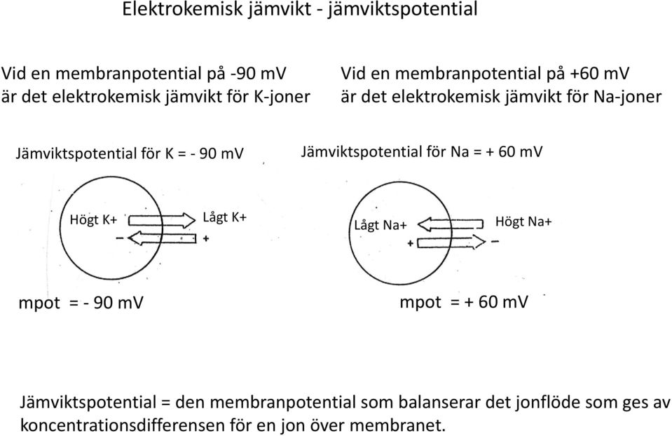 mv j Jämviktspotential för Na = + 60 mv Högt K+ Lågt K+ Lågt Na+ Högt Na+ mpot = - 90 mv mpot = + 60 mv