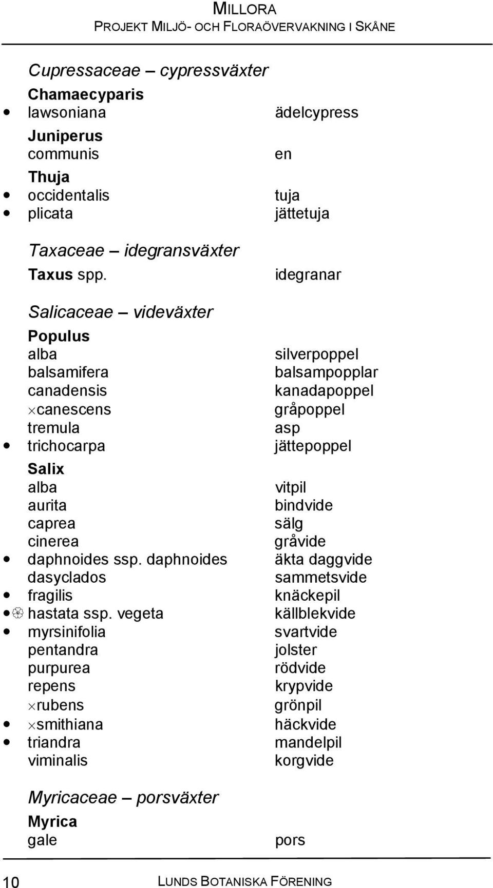 vitpil aurita bindvide caprea sälg cinerea gråvide daphnoides ssp. daphnoides äkta daggvide dasyclados sammetsvide fragilis knäckepil hastata ssp.