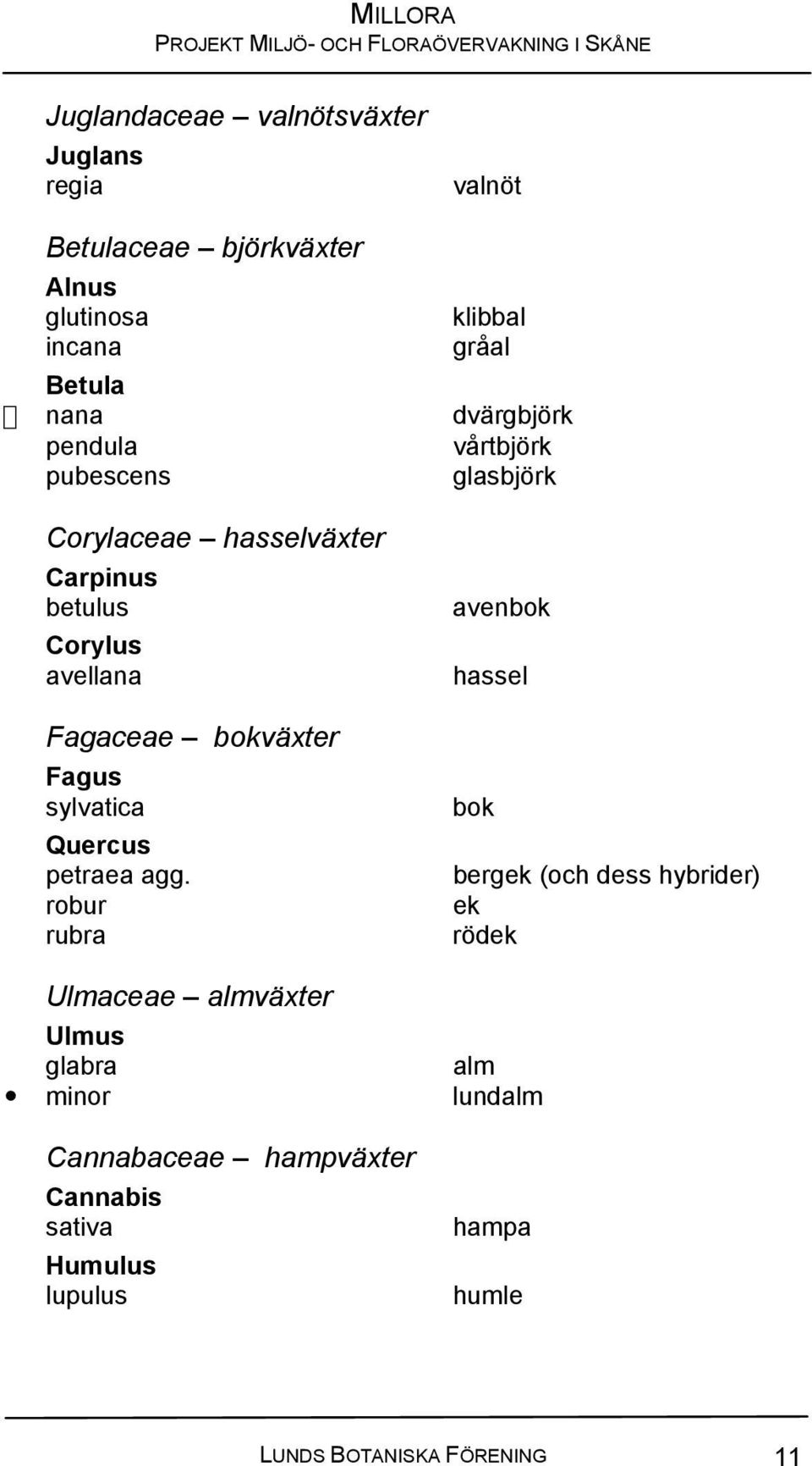 robur rubra valnöt klibbal gråal dvärgbjörk vårtbjörk glasbjörk avenbok hassel bok bergek (och dess hybrider) ek rödek
