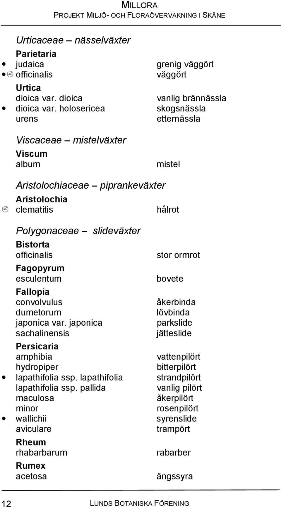 Fagopyrum esculentum Fallopia convolvulus dumetorum japonica var.