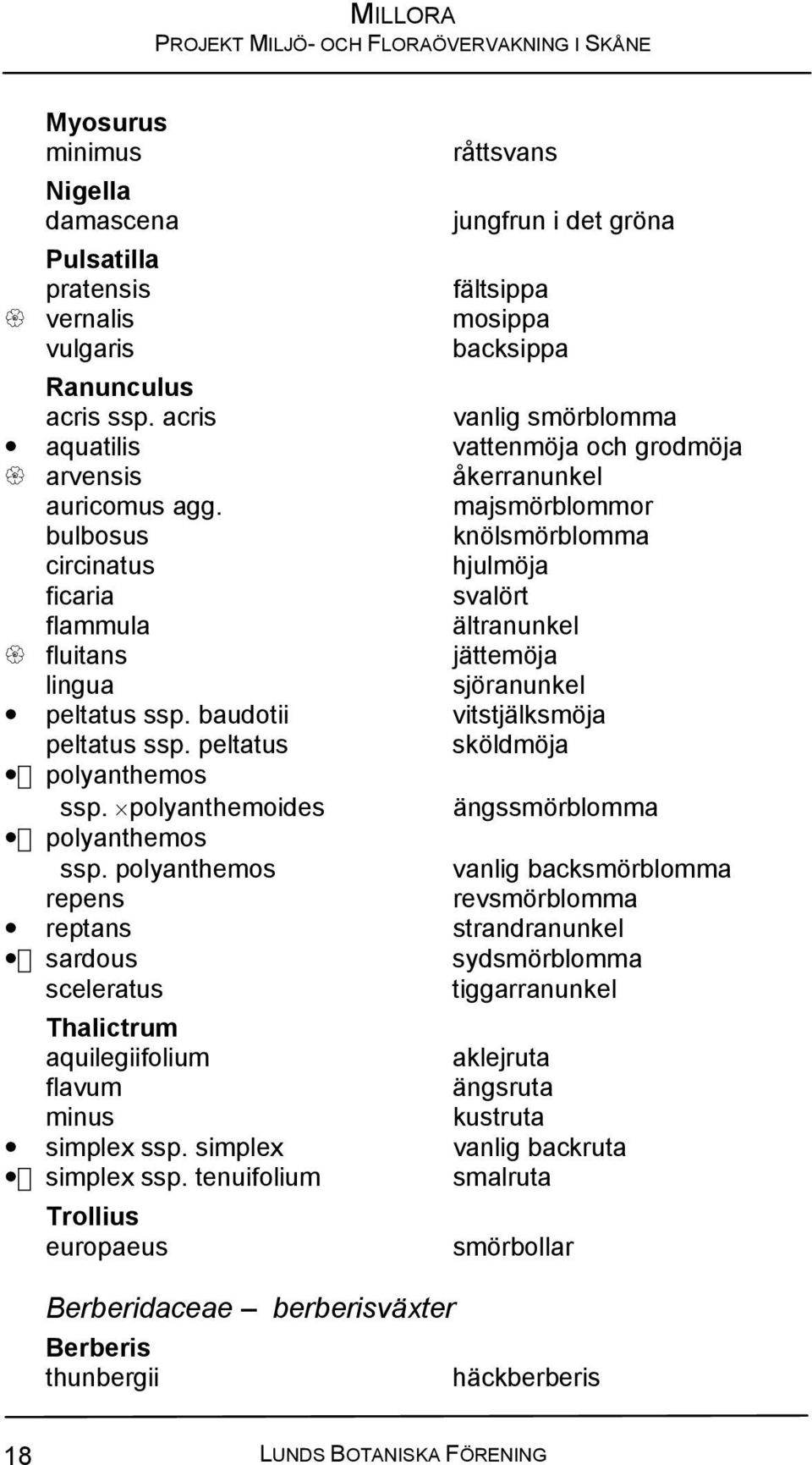majsmörblommor bulbosus knölsmörblomma circinatus hjulmöja ficaria svalört flammula ältranunkel fluitans jättemöja lingua sjöranunkel peltatus ssp. baudotii vitstjälksmöja peltatus ssp.