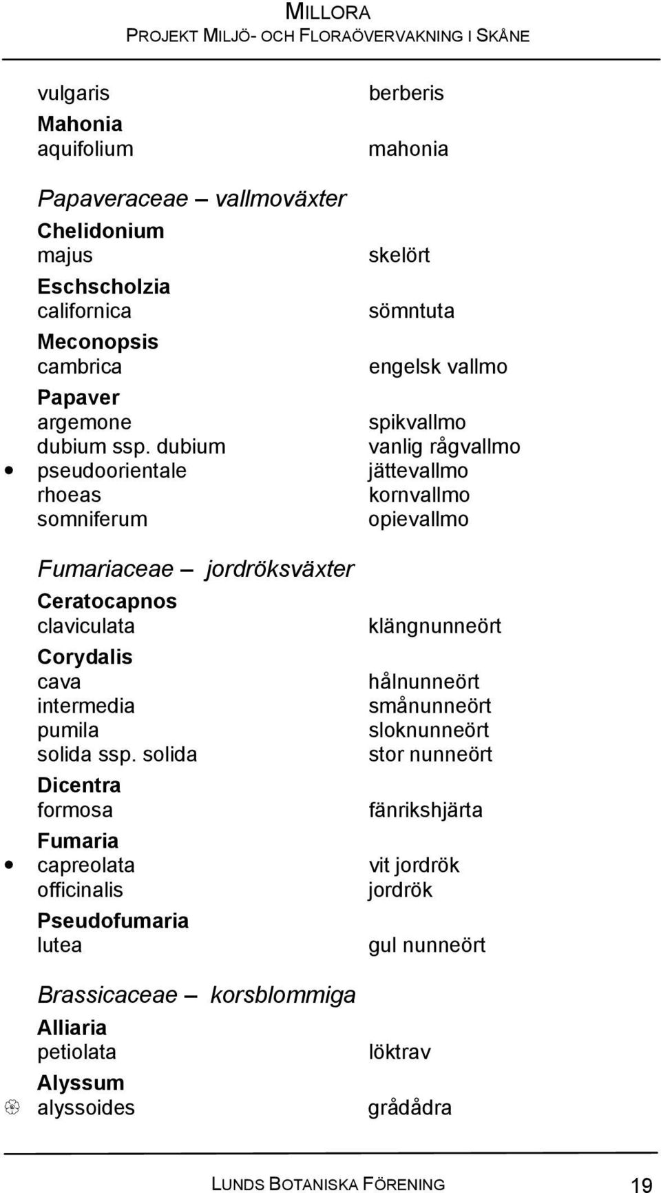 dubium vanlig rågvallmo pseudoorientale jättevallmo rhoeas kornvallmo somniferum opievallmo Fumariaceae jordröksväxter Ceratocapnos claviculata Corydalis cava intermedia