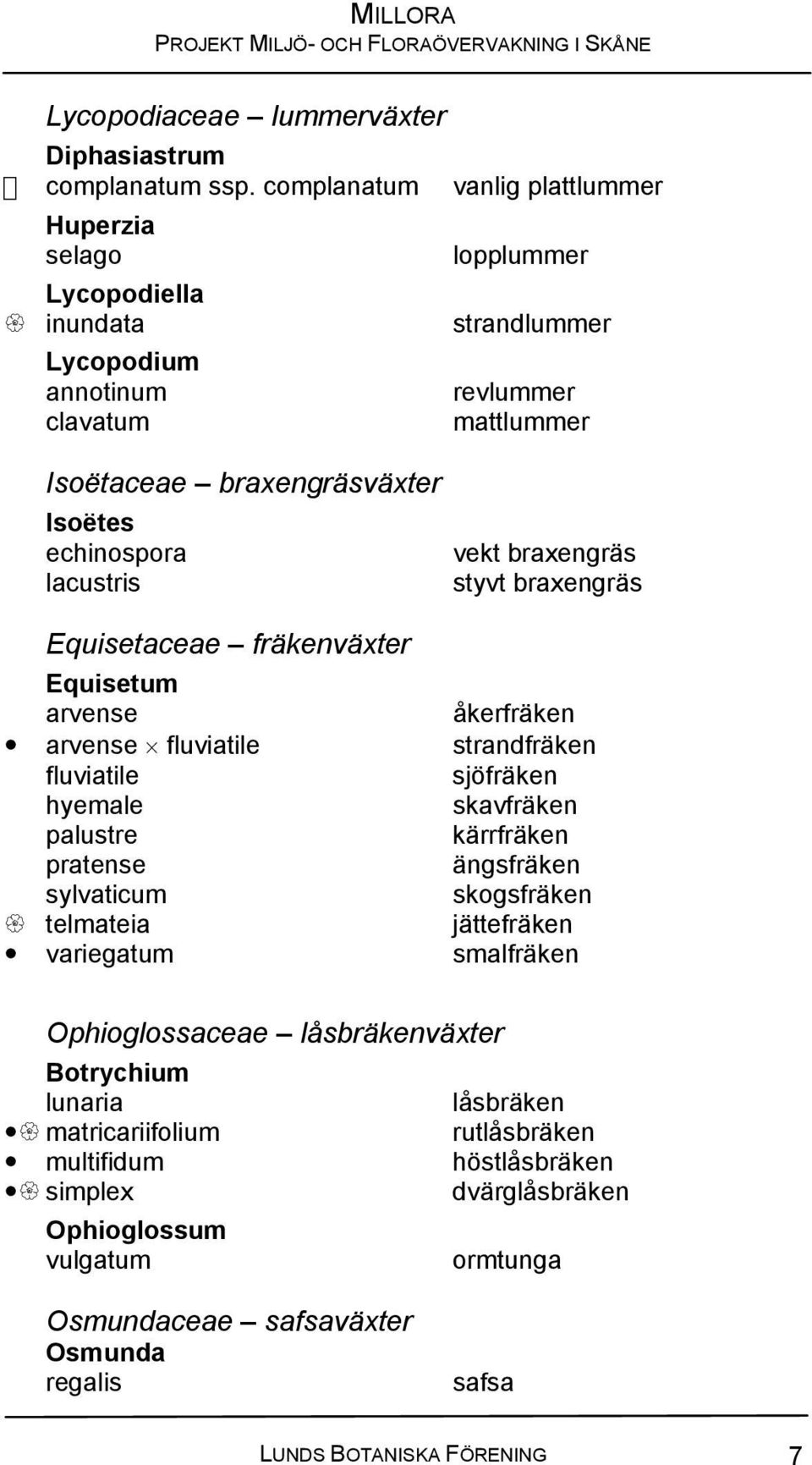 lacustris vekt braxengräs styvt braxengräs Equisetaceae fräkenväxter Equisetum arvense åkerfräken arvense fluviatile strandfräken fluviatile sjöfräken hyemale skavfräken palustre kärrfräken