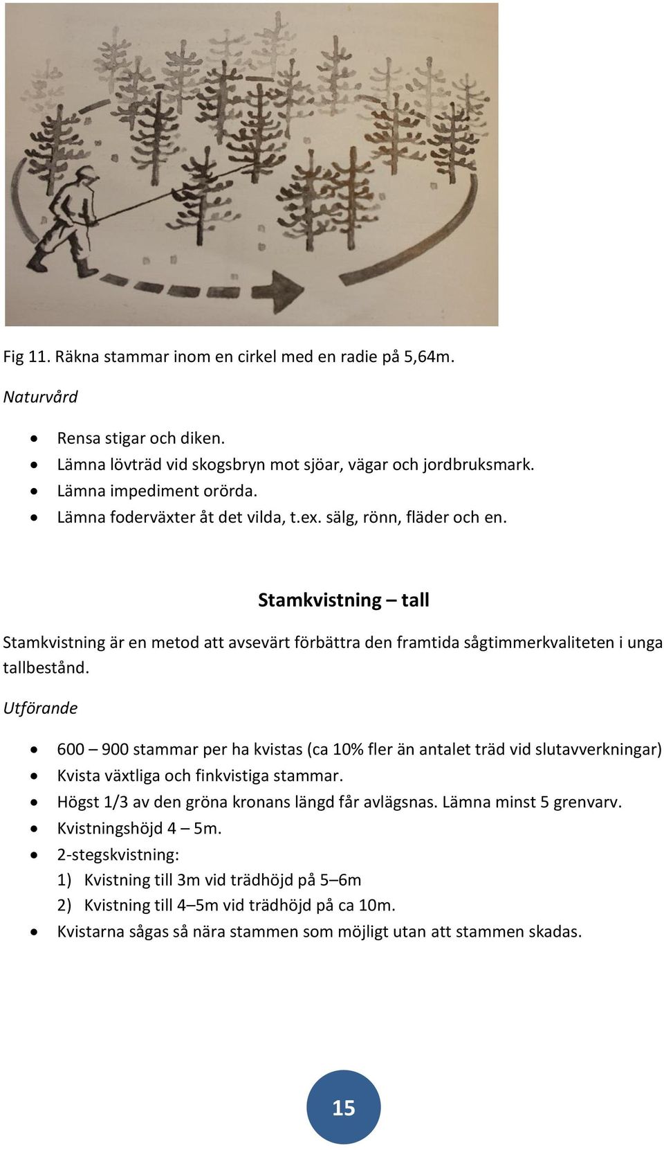 Utförande 600 900 stammar per ha kvistas (ca 10% fler än antalet träd vid slutavverkningar) Kvista växtliga och finkvistiga stammar. Högst 1/3 av den gröna kronans längd får avlägsnas.