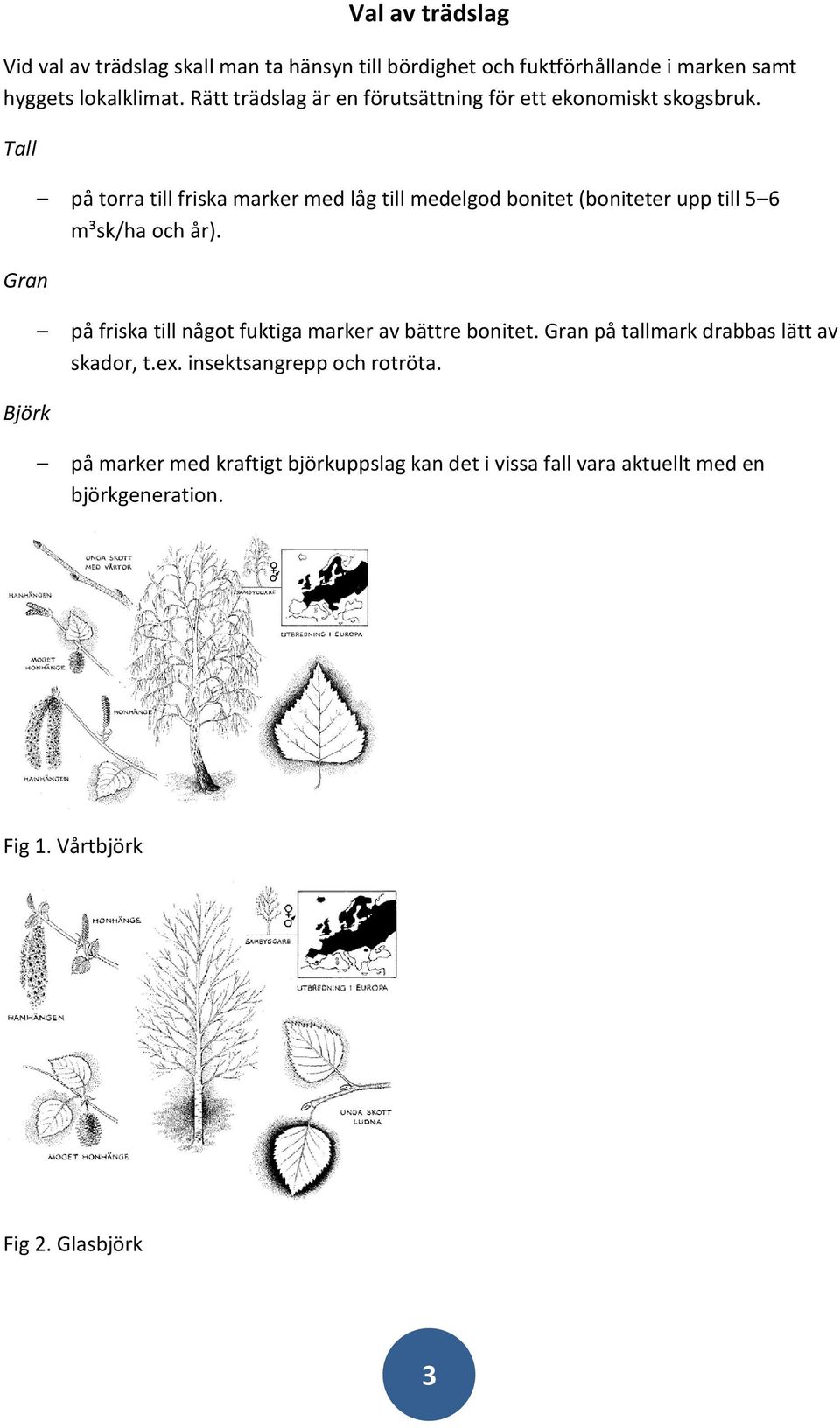 Tall Gran Björk på torra till friska marker med låg till medelgod bonitet (boniteter upp till 5 6 m³sk/ha och år).