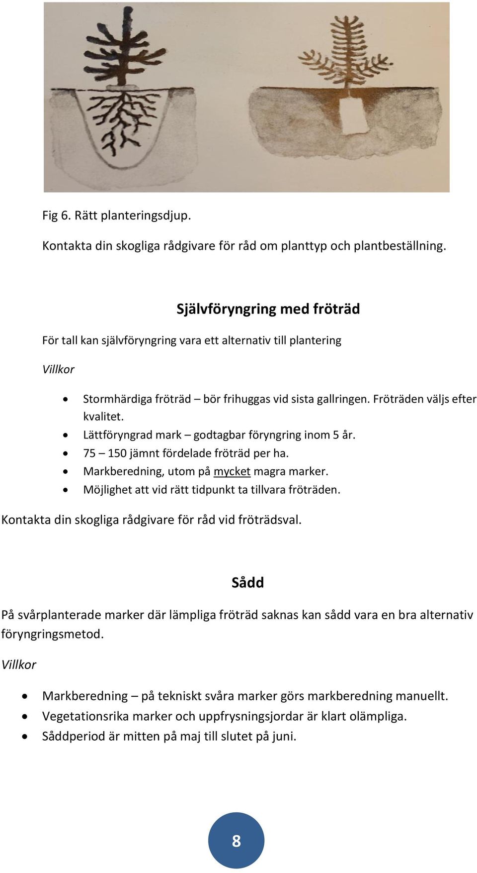 Lättföryngrad mark godtagbar föryngring inom 5 år. 75 150 jämnt fördelade fröträd per ha. Markberedning, utom på mycket magra marker. Möjlighet att vid rätt tidpunkt ta tillvara fröträden.