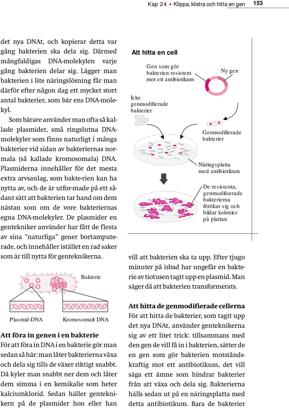 Som bärare använder man ofta så kallade plasmider, små ringslutna DNAmolekyler som finns naturligt i många bakterier vid sidan av bakteriernas normala (så kallade kromosomala) DNA.