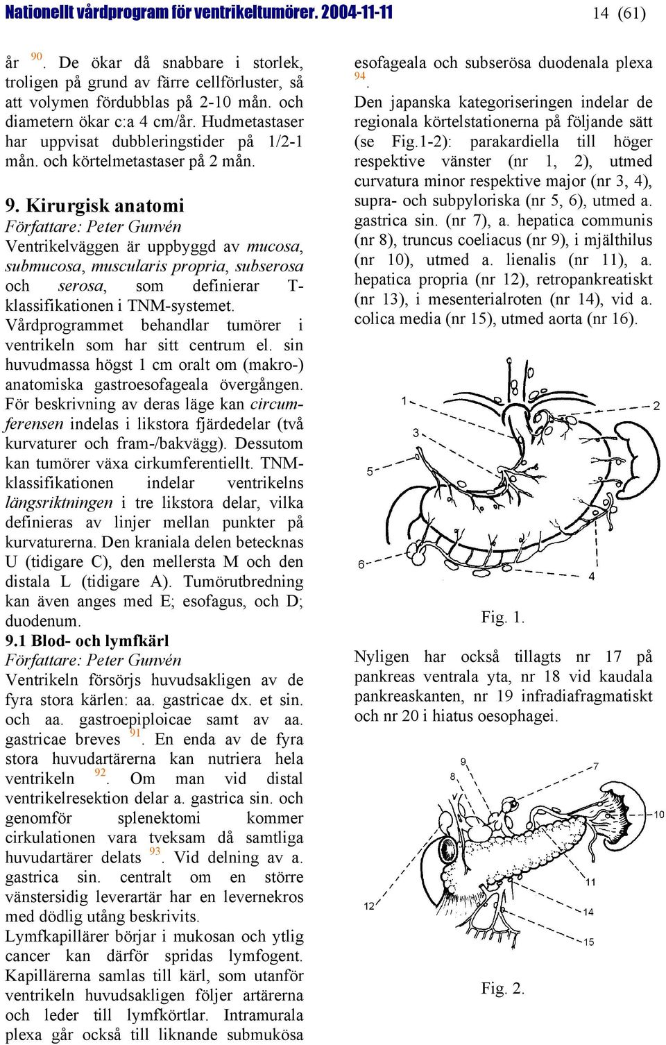 Kirurgisk anatomi Författare: Peter Gunvén Ventrikelväggen är uppbyggd av mucosa, submucosa, muscularis propria, subserosa och serosa, som definierar T- klassifikationen i TNM-systemet.