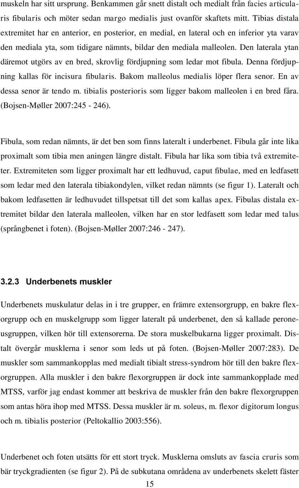 Den laterala ytan däremot utgörs av en bred, skrovlig fördjupning som ledar mot fibula. Denna fördjupning kallas för incisura fibularis. Bakom malleolus medialis löper flera senor.