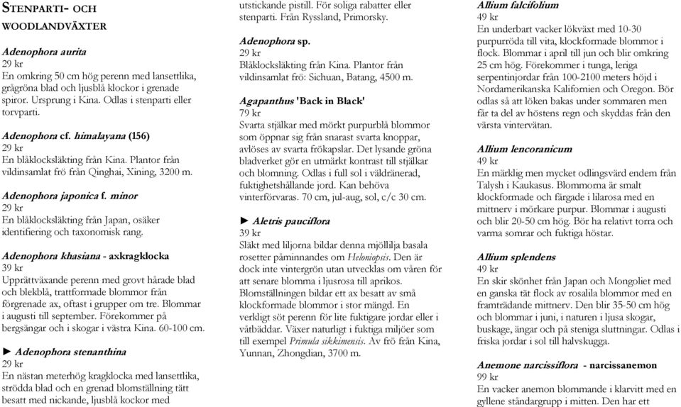 minor En blåklocksläkting från Japan, osäker identifiering och taxonomisk rang.