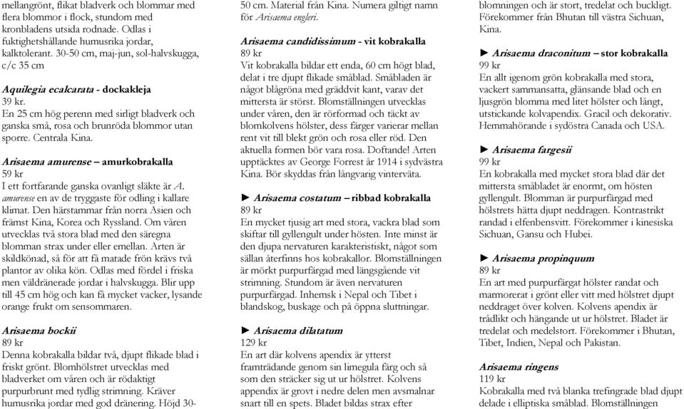 Arisaema amurense amurkobrakalla I ett fortfarande ganska ovanligt släkte är A. amurense en av de tryggaste för odling i kallare klimat.