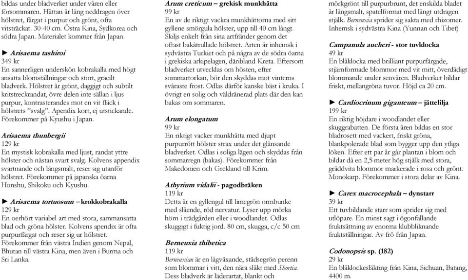 Hölstret är grönt, daggigt och subtilt kritstreckrandat, övre delen inte sällan i ljus purpur, kontrasterandes mot en vit fläck i hölstrets svalg. Apendix kort, ej utstickande.