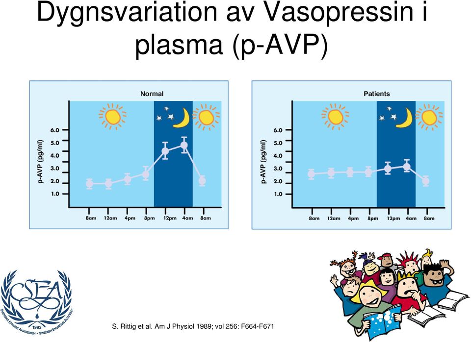 (p-avp) S. Rittig et al.