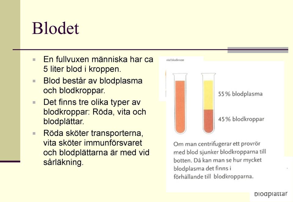 Det finns tre olika typer av blodkroppar: Röda, vita och