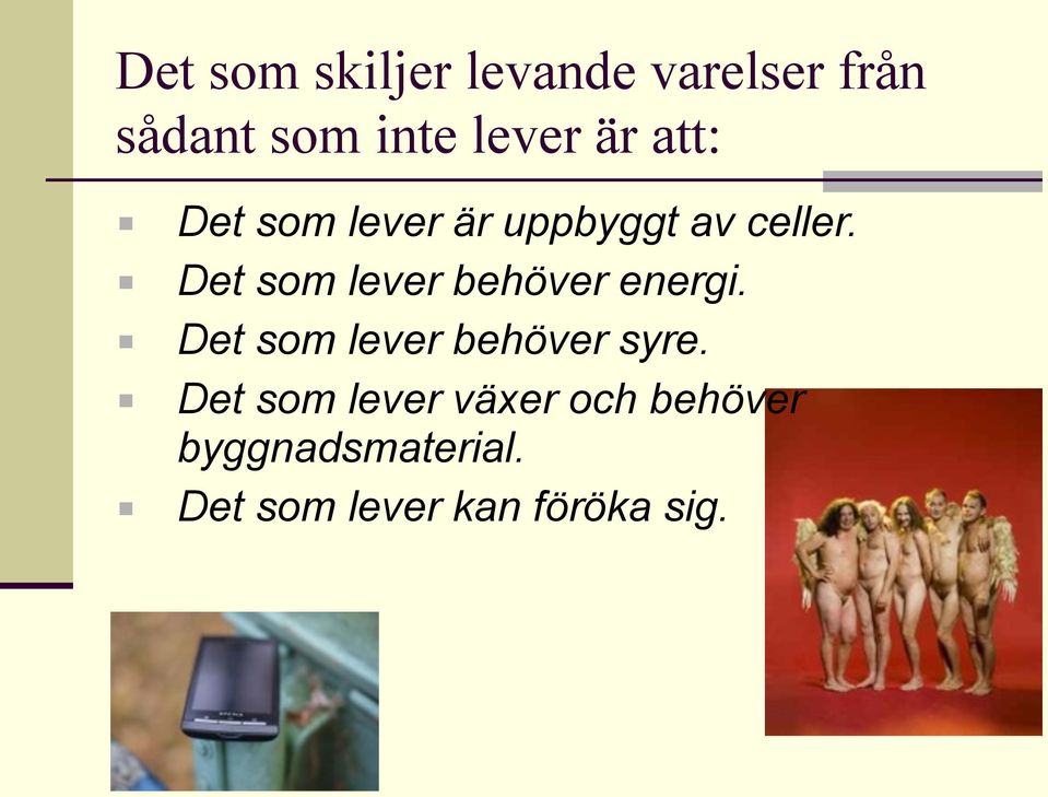 Det som lever behöver energi. Det som lever behöver syre.