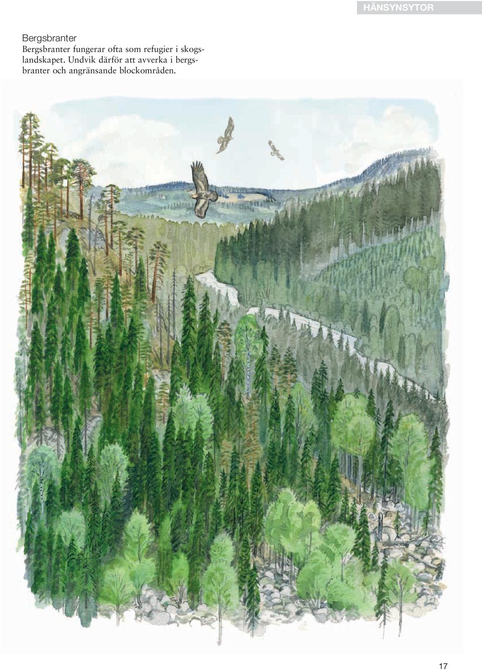 skogslandskapet.