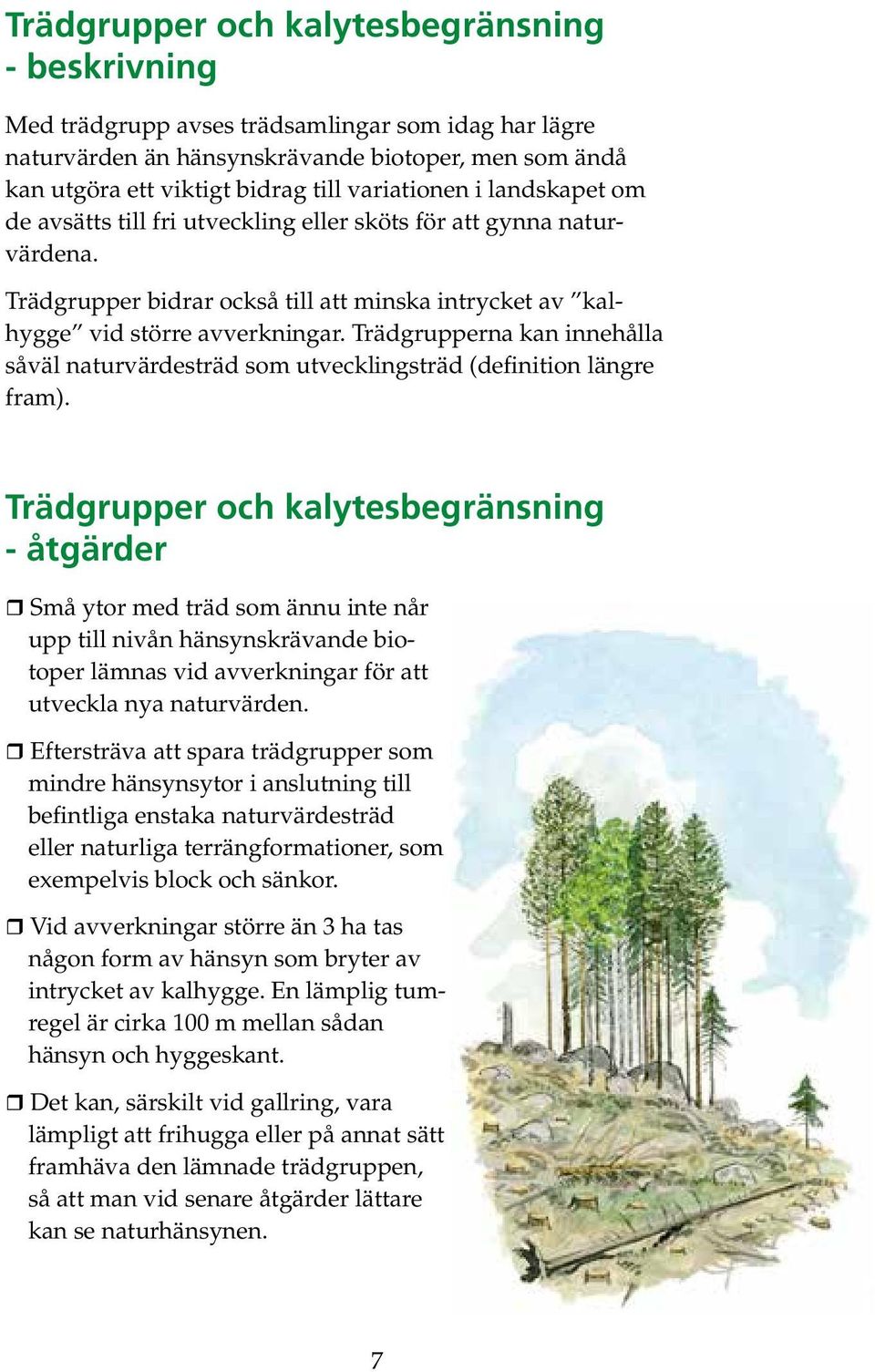 Trädgrupperna kan innehålla såväl naturvärdesträd som utvecklingsträd (definition längre fram).