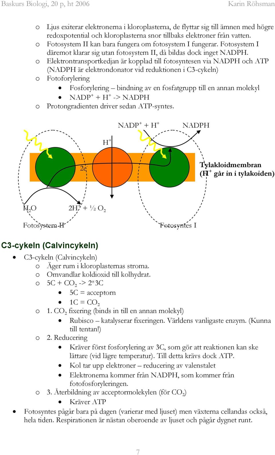 o Elektrontransportkedjan är kopplad till fotosyntesen via NADPH och ATP (NADPH är elektrondonator vid reduktionen i C3-cykeln) o Fotoforylering Fosforylering bindning av en fosfatgrupp till en annan