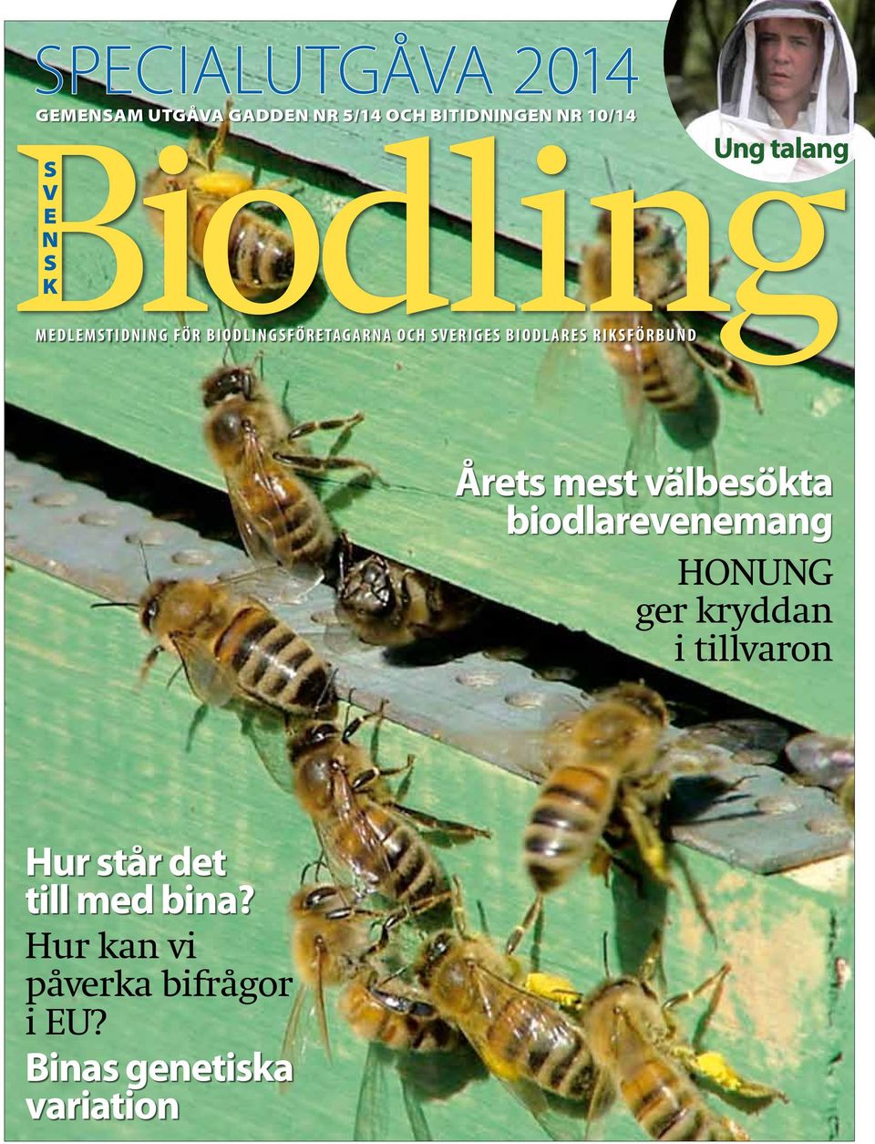 a r e s R i k s f ö r b u n d Ung talang Årets mest välbesökta biodlarevenemang Honung ger kryddan