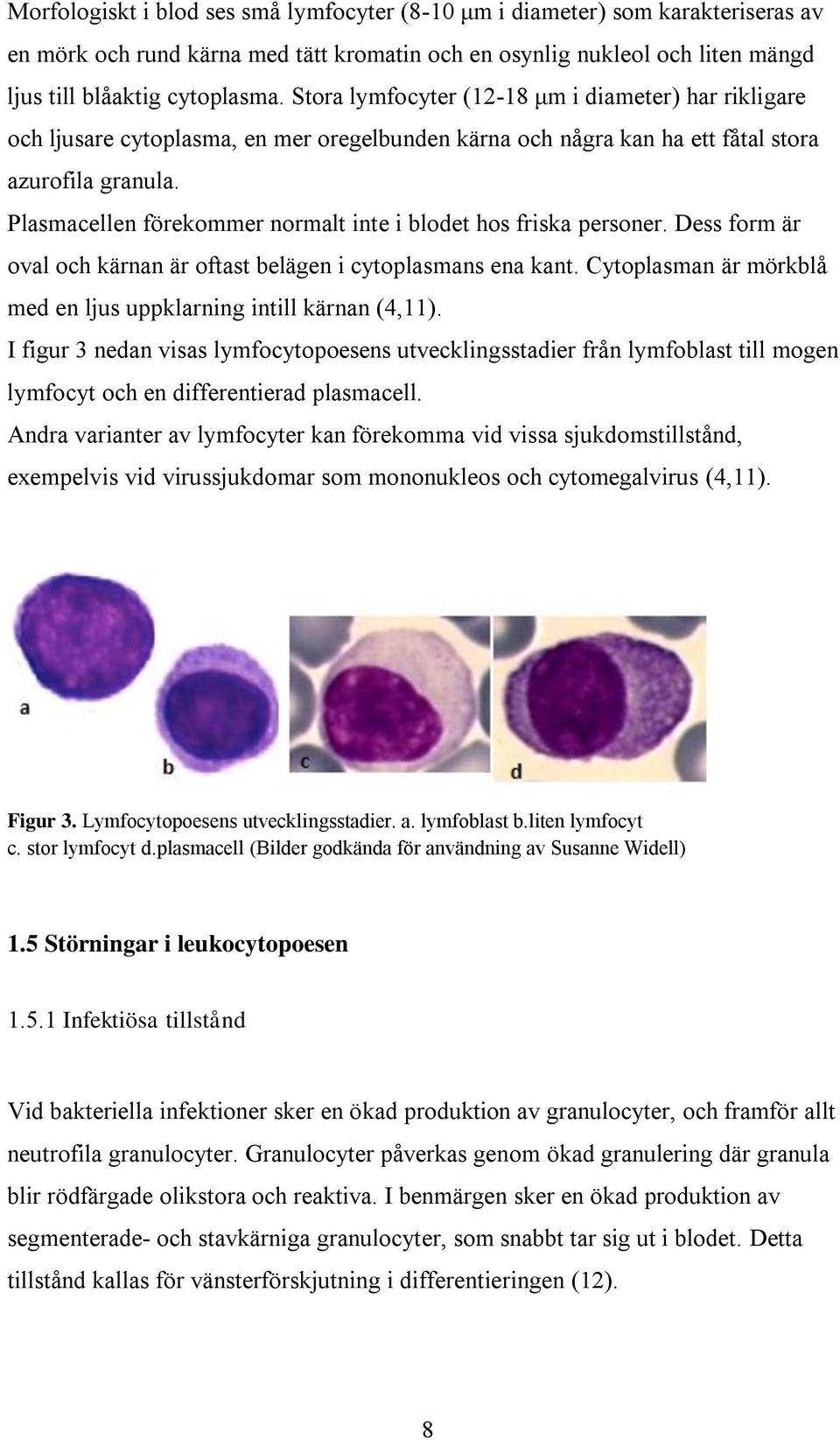 Plasmacellen förekommer normalt inte i blodet hos friska personer. Dess form är oval och kärnan är oftast belägen i cytoplasmans ena kant.