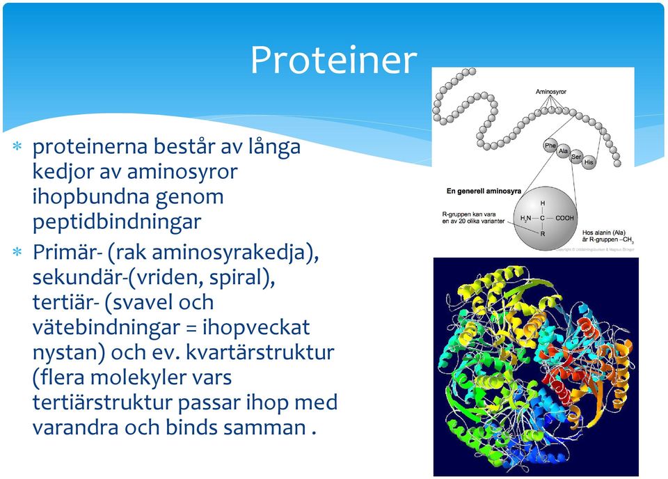 tertiär- (svavel och vätebindningar = ihopveckat nystan) och ev.