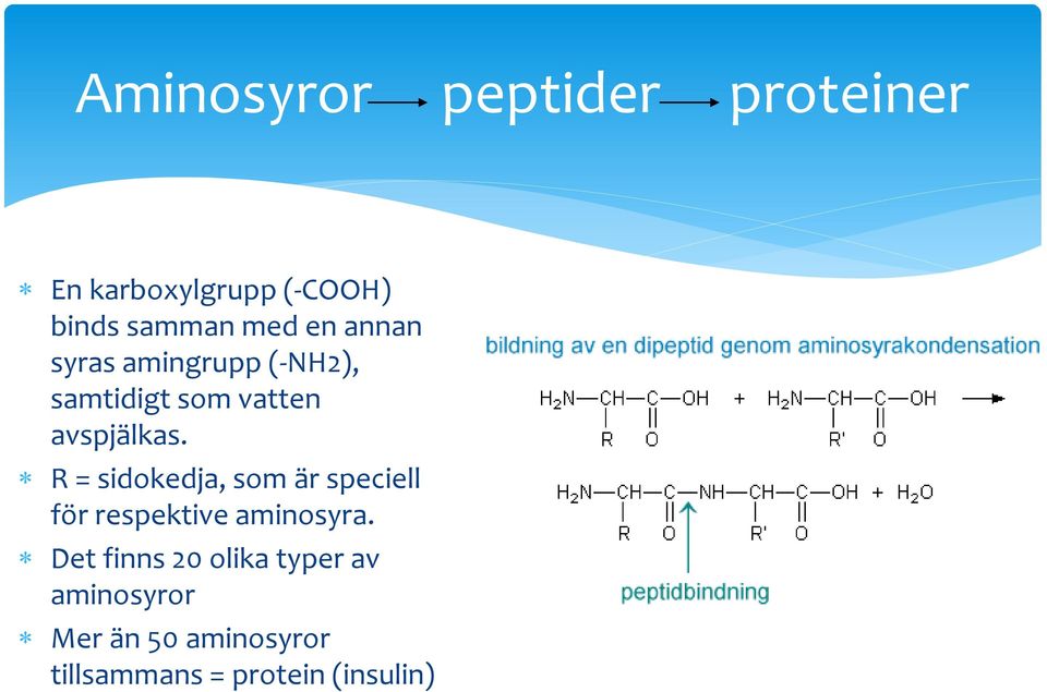 R = sidokedja, som är speciell för respektive aminosyra.