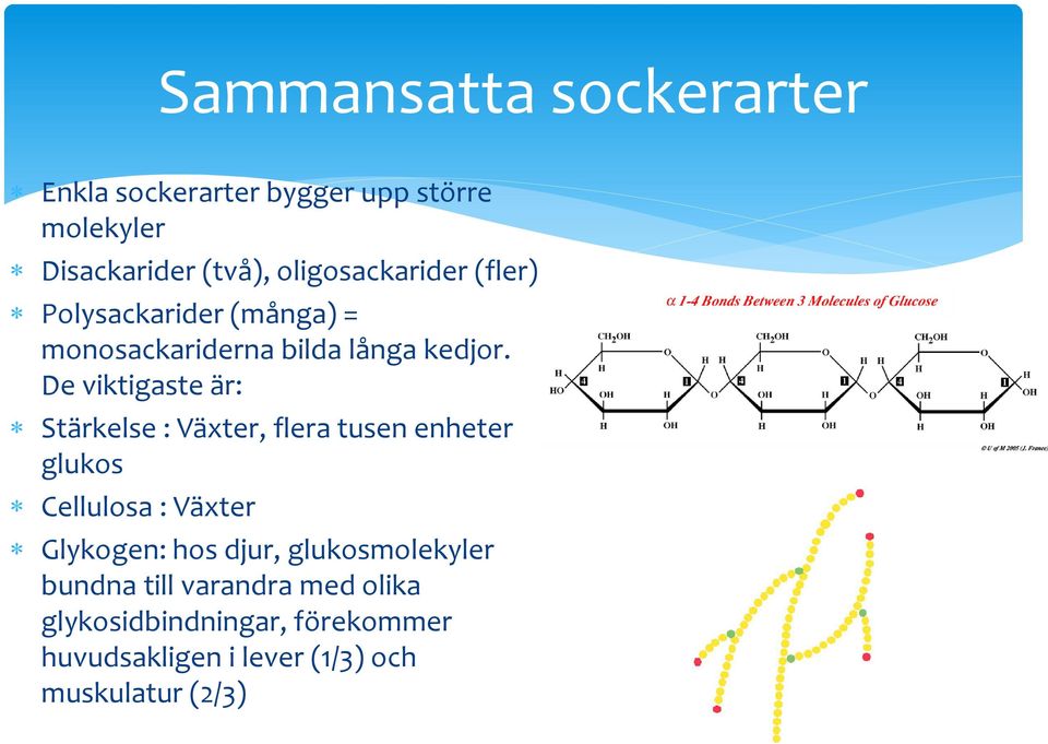 De viktigaste är: Stärkelse : Växter, flera tusen enheter glukos Cellulosa : Växter Glykogen: hos