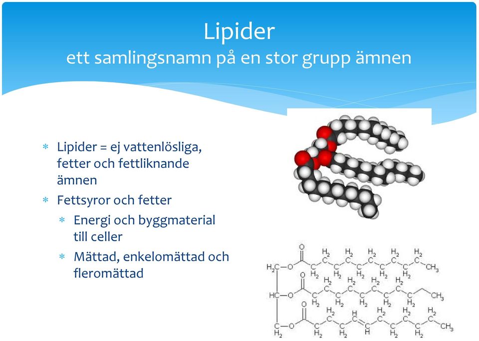 fettliknande ämnen Fettsyror och fetter Energi