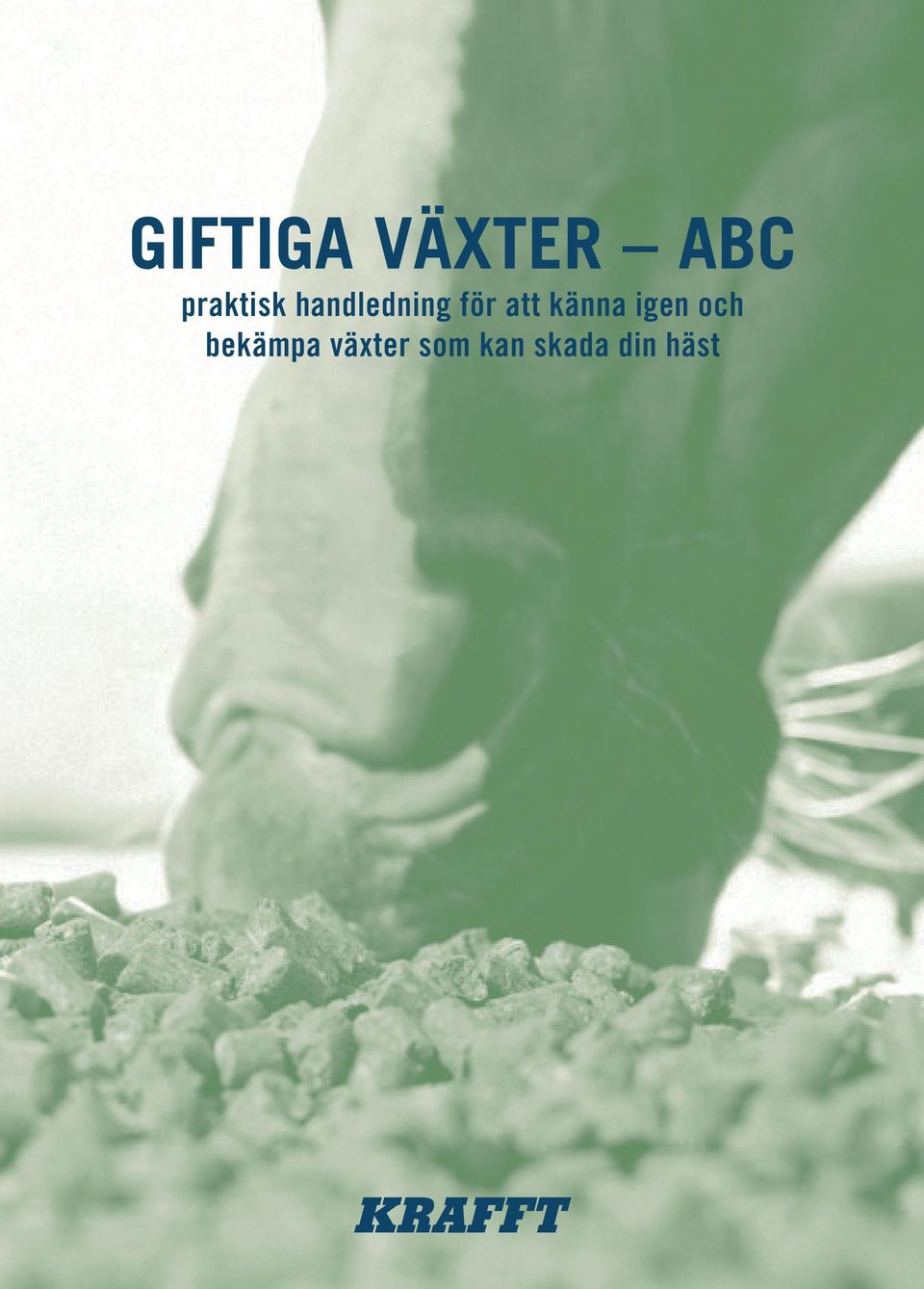 att känna igen och