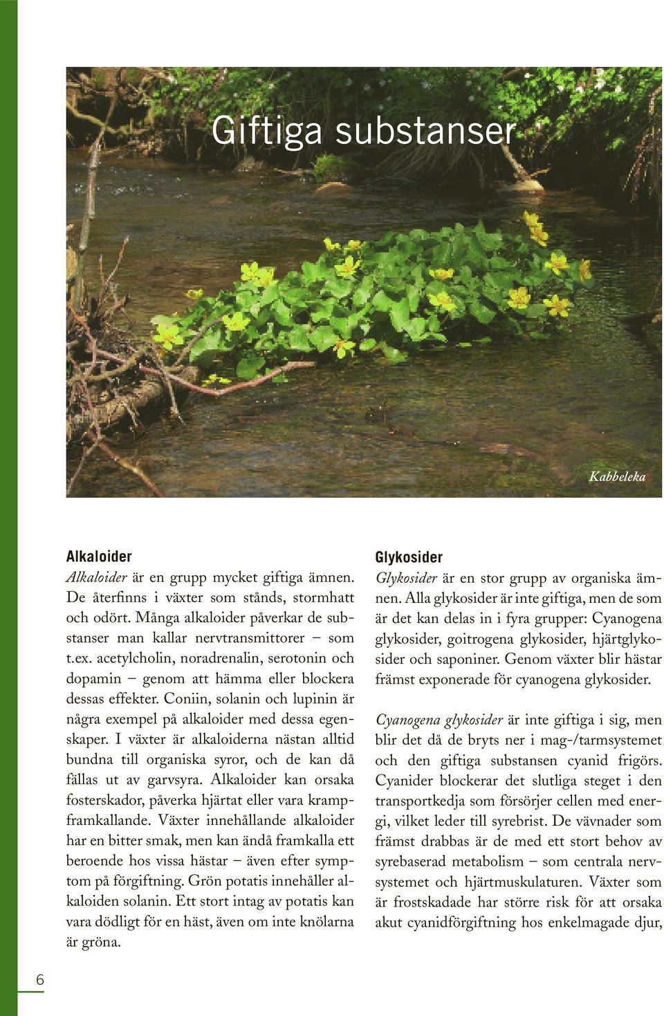Coniin, solanin och lupinin är några exempel på alkaloider med dessa egenskaper. I växter är alkaloiderna nästan alltid bundna till organiska syror, och de kan då fällas ut av garvsyra.