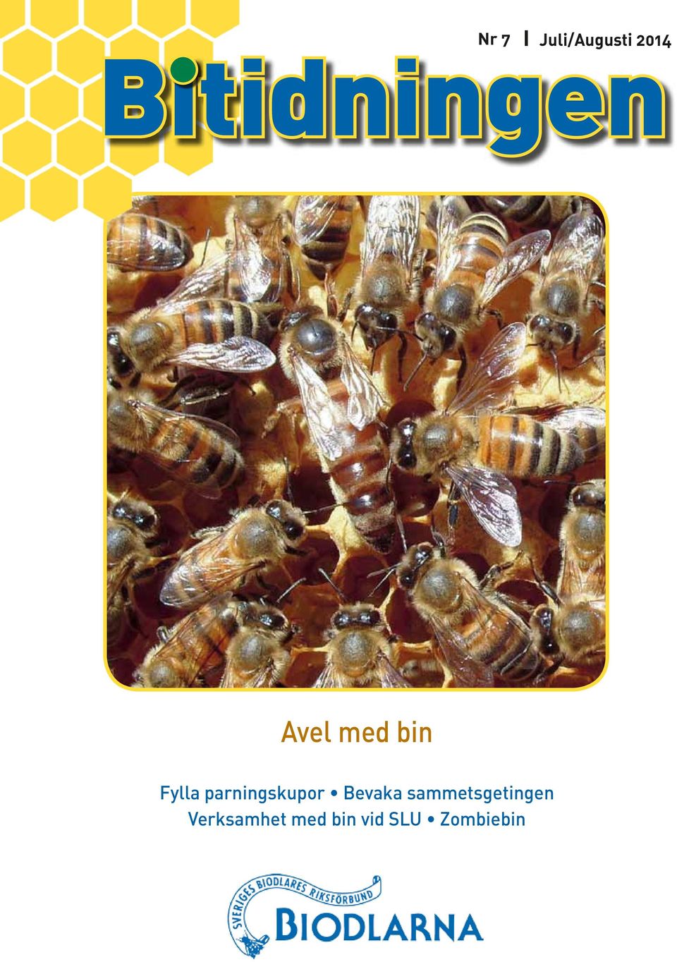 Bevaka sammetsgetingen Verksamhet med
