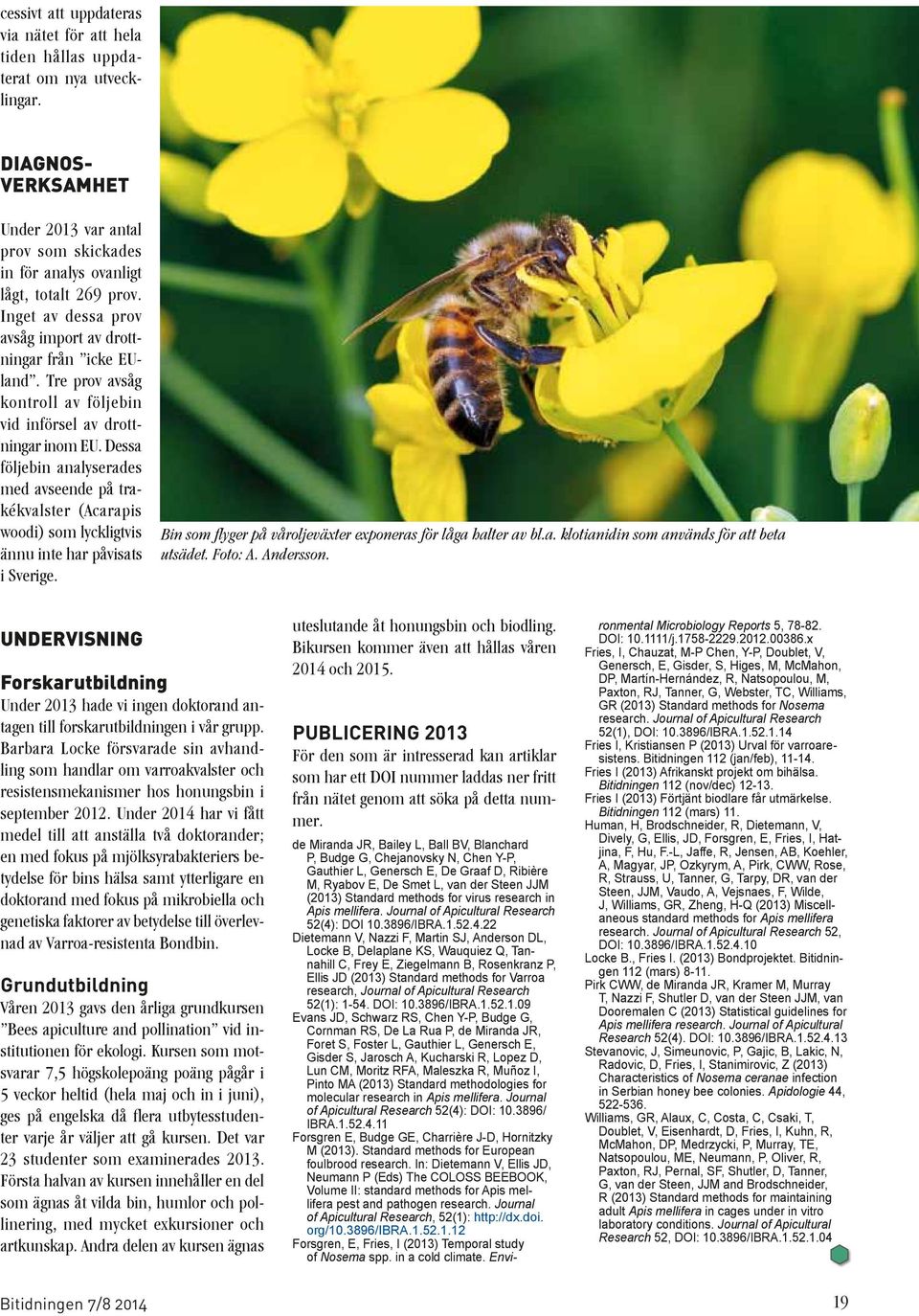 Dessa följebin analyserades med avseende på trakékvalster (Acarapis woodi) som lyckligtvis ännu inte har påvisats i Sverige. Bin som flyger på våroljeväxter exponeras för låga halter av bl.a. klotianidin som används för att beta utsädet.