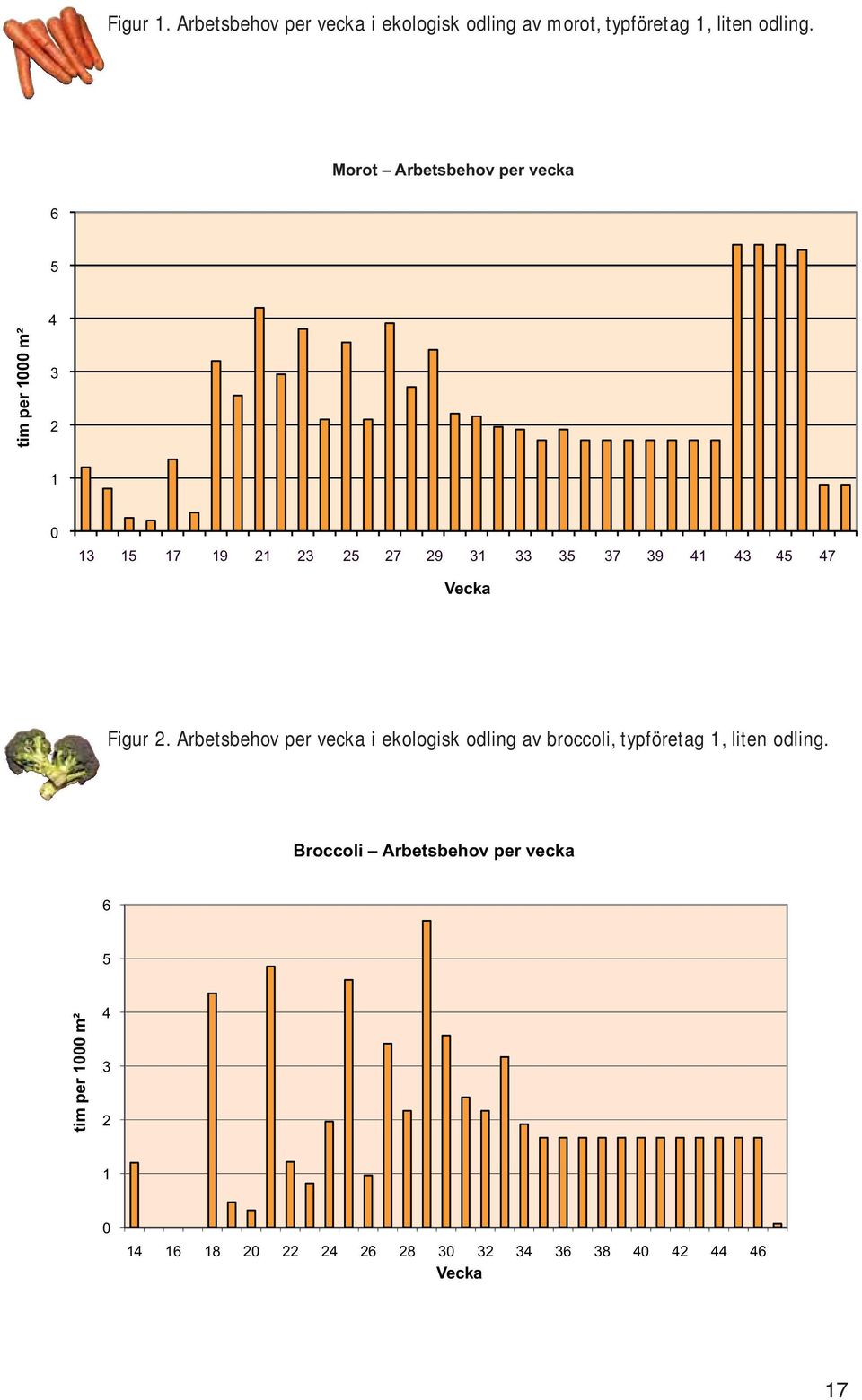 43 45 47 Vecka Figur 2. Arbetsbehov per vecka i ekologisk odling av broccoli, typföretag 1, liten odling.