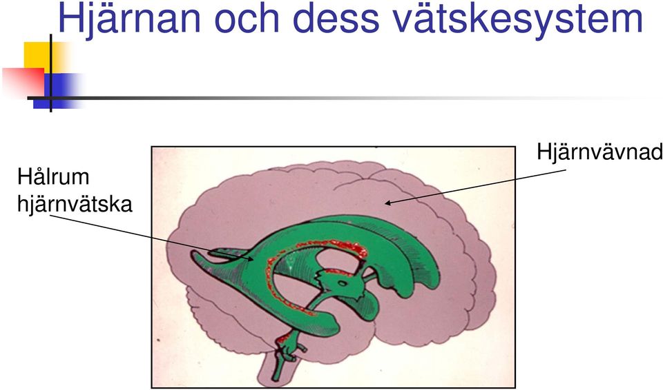 vätskesystem