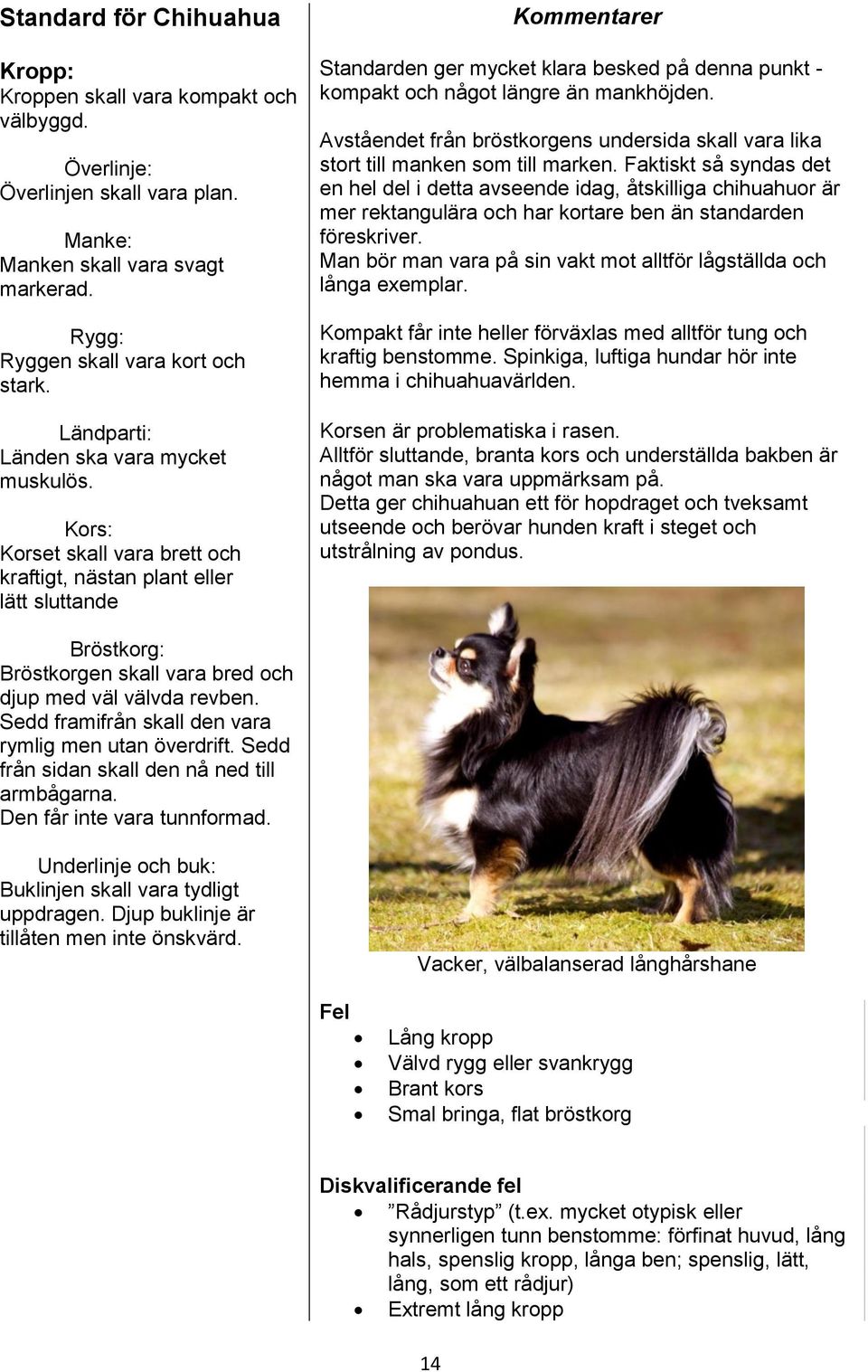 Kors: Korset skall vara brett och kraftigt, nästan plant eller lätt sluttande Kommentarer Standarden ger mycket klara besked på denna punkt - kompakt och något längre än mankhöjden.