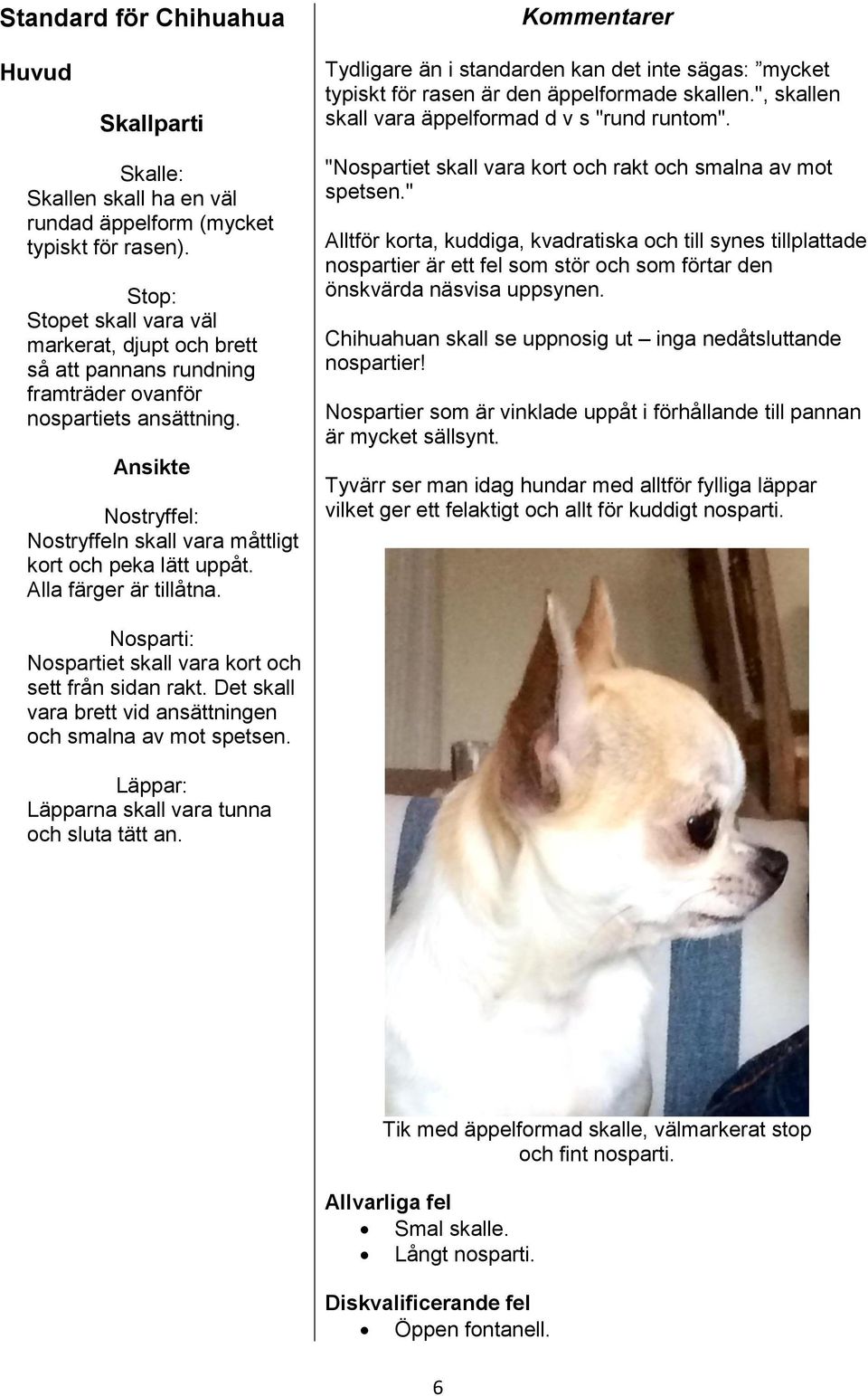 Stop: Stopet skall vara väl markerat, djupt och brett så att pannans rundning framträder ovanför nospartiets ansättning. Ansikte Nostryffel: Nostryffeln skall vara måttligt kort och peka lätt uppåt.
