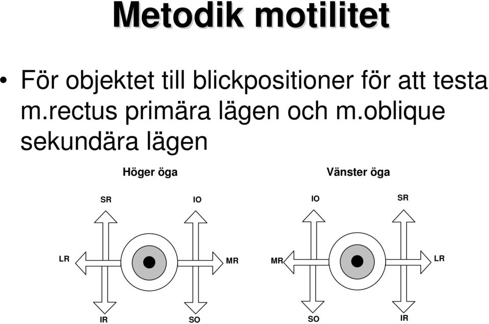 rectus primära lägen och m.