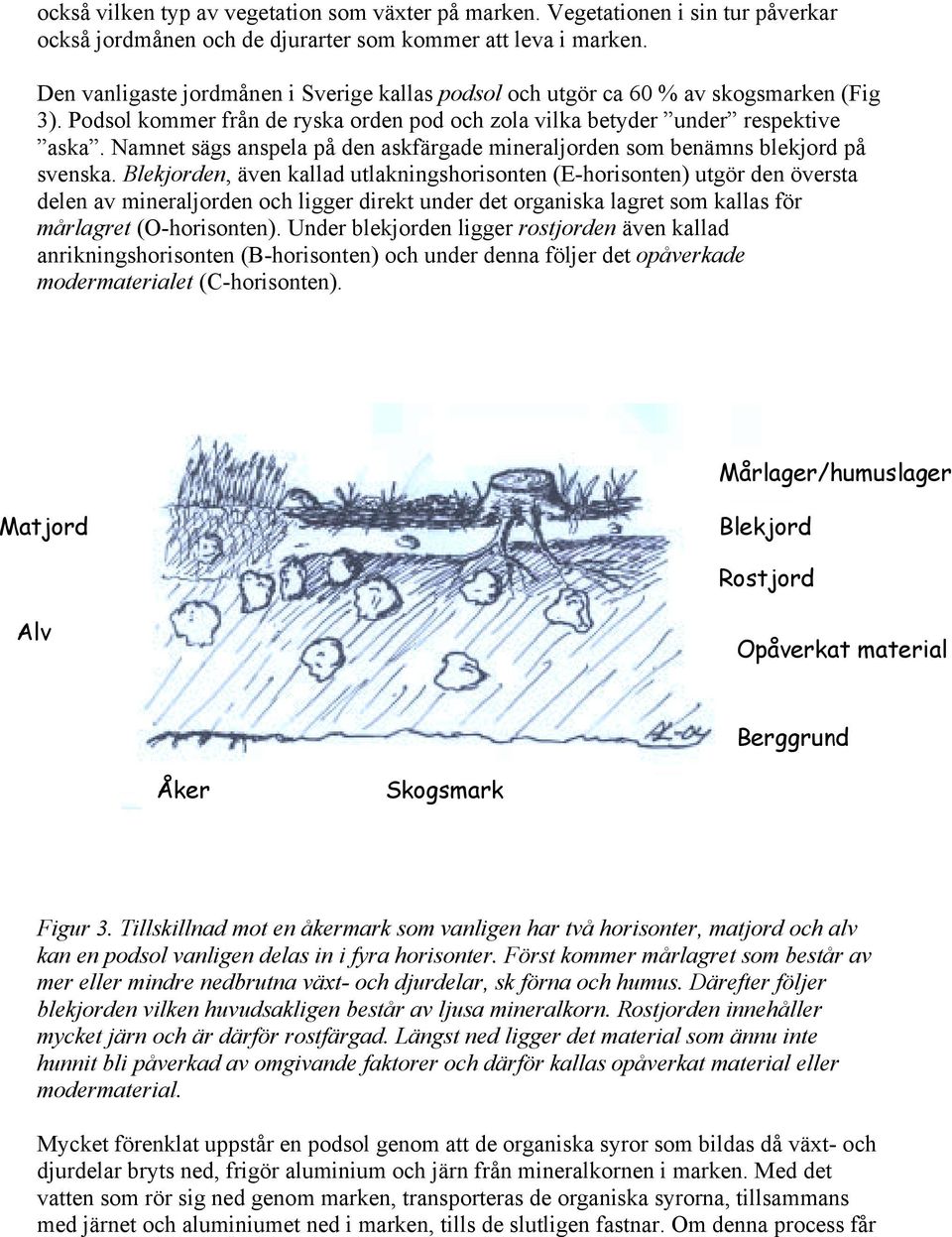 Namnet sägs anspela på den askfärgade mineraljorden som benämns blekjord på svenska.