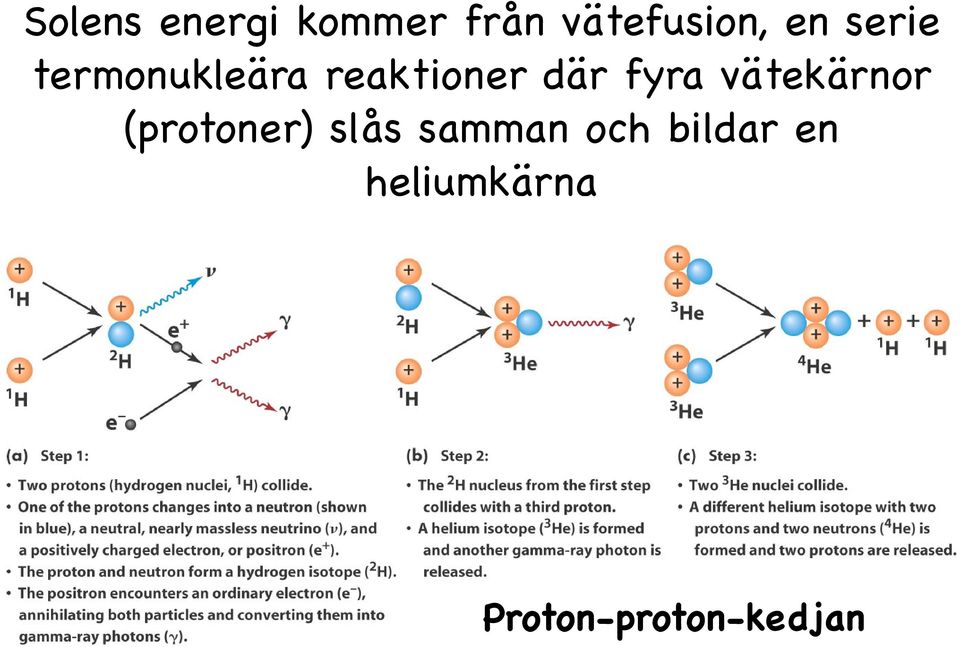vätekärnor (protoner) slås samman och