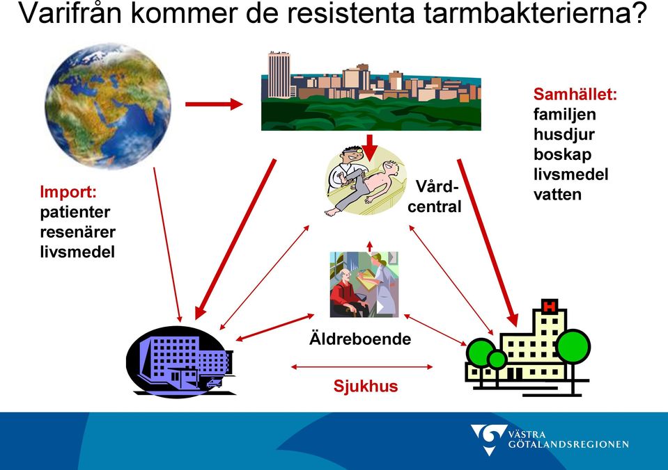 Import: patienter resenärer livsmedel