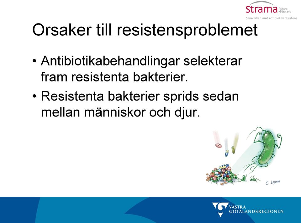 fram resistenta bakterier.