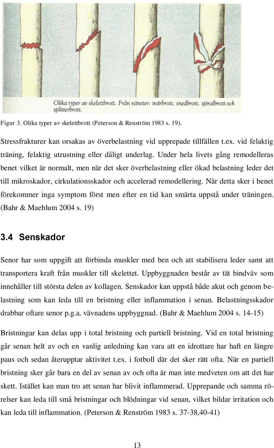 Under hela livets gång remodelleras benet vilket är normalt, men när det sker överbelastning eller ökad belastning leder det till mikroskador, cirkulationsskador och accelerad remodellering.