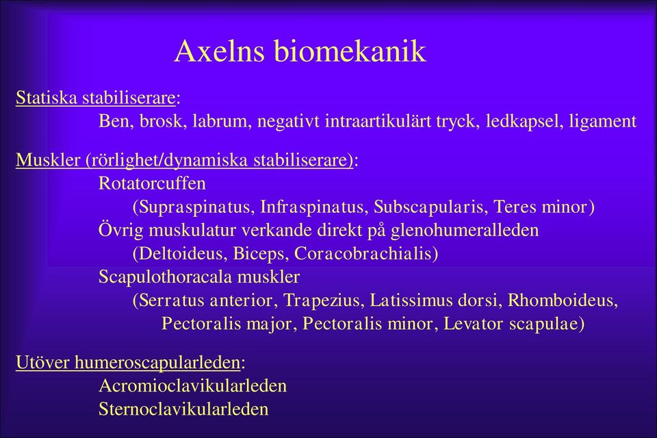 verkande direkt på glenohumeralleden (Deltoideus, Biceps, Coracobrachialis) Scapulothoracala muskler (Serratus anterior, Trapezius,