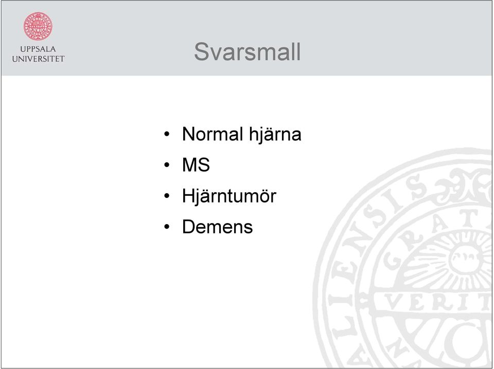 hjärna MS