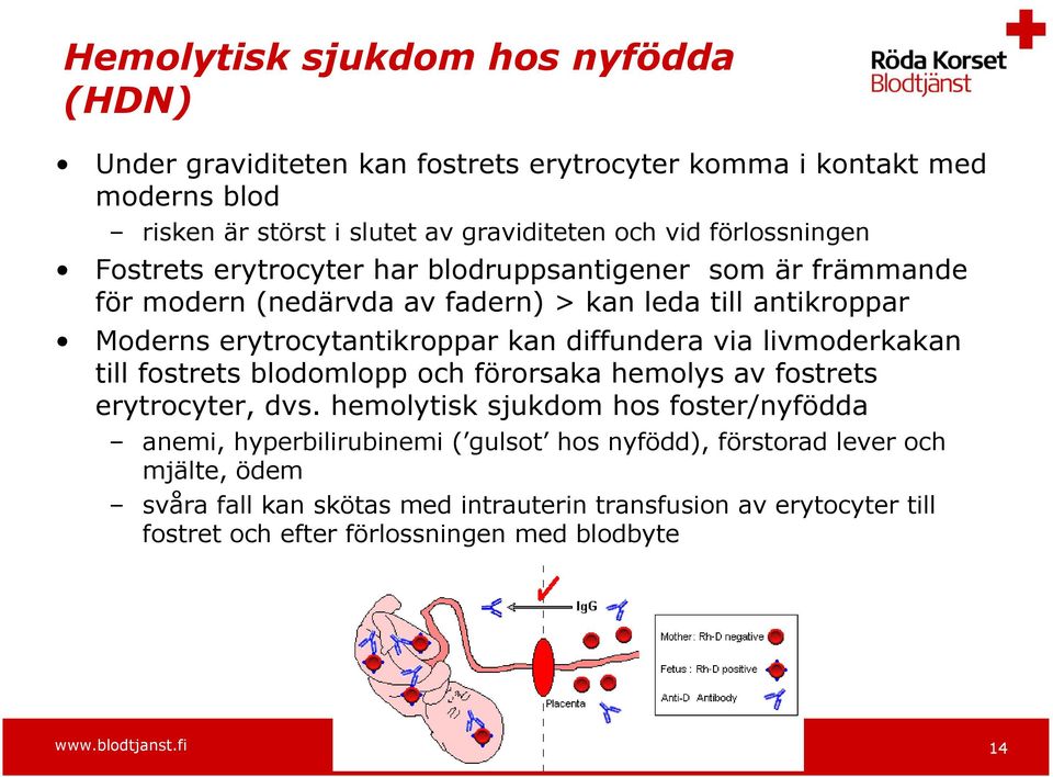 diffundera via livmoderkakan till fostrets blodomlopp och förorsaka hemolys av fostrets erytrocyter, dvs.