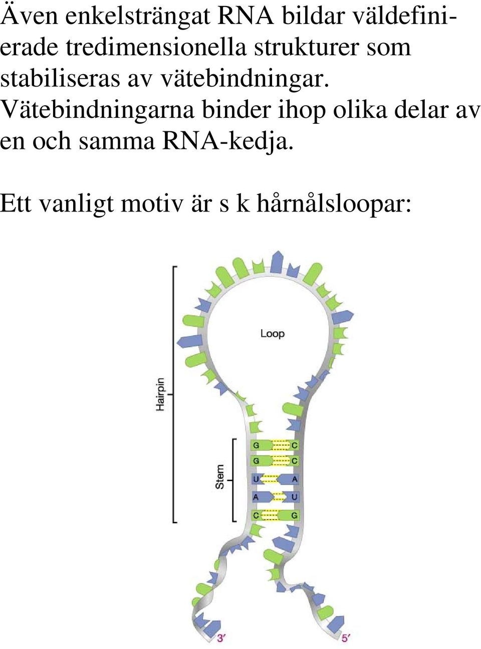 vätebindningar.