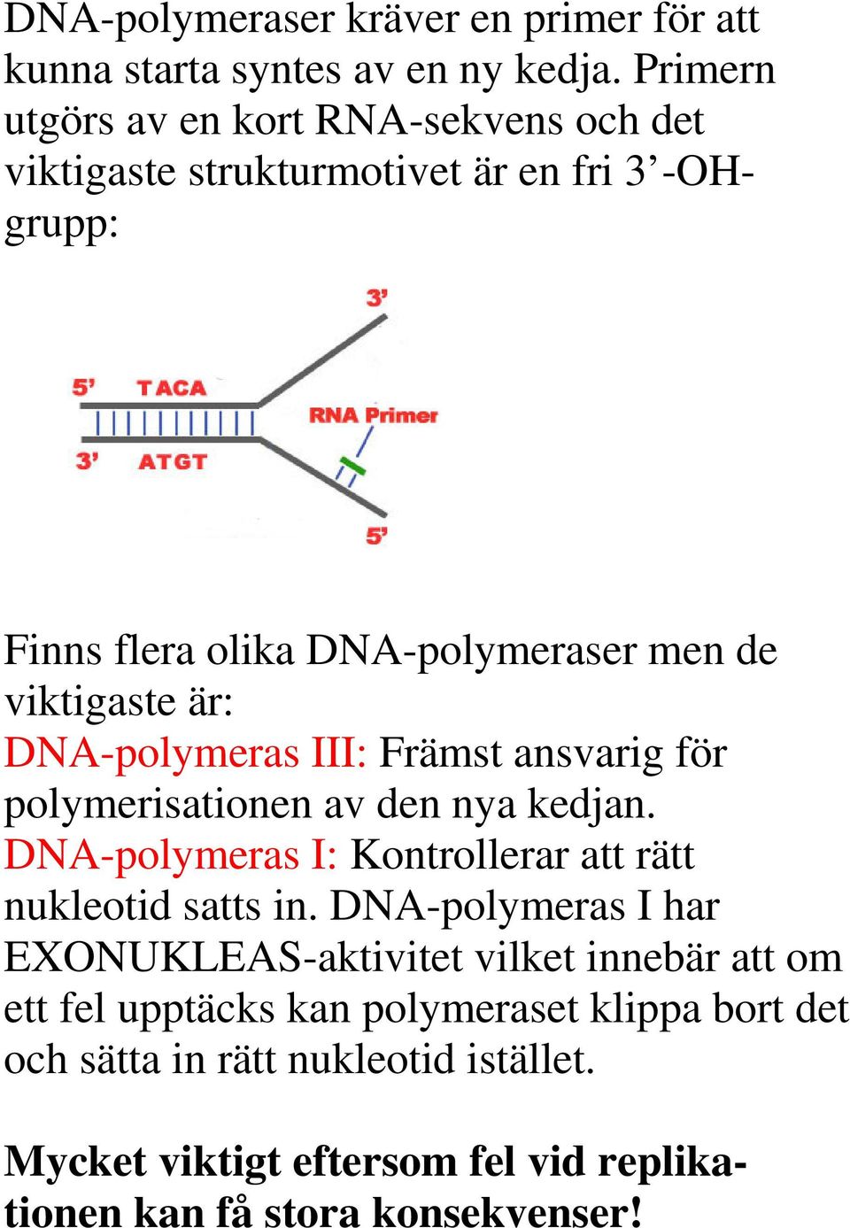 viktigaste är: DNA-polymeras III: Främst ansvarig för polymerisationen av den nya kedjan.
