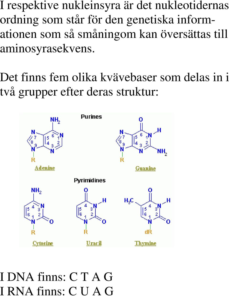 aminosyrasekvens.