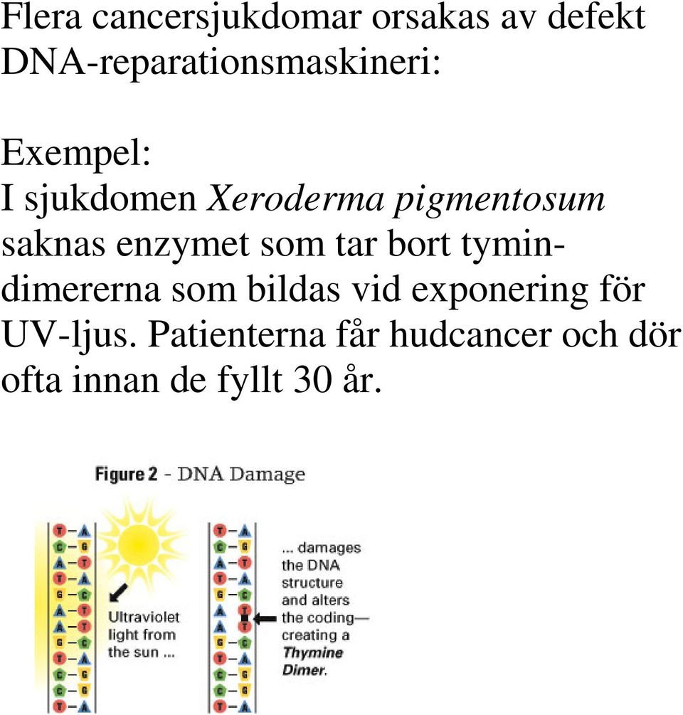 pigmentosum saknas enzymet som tar bort tymindimererna som