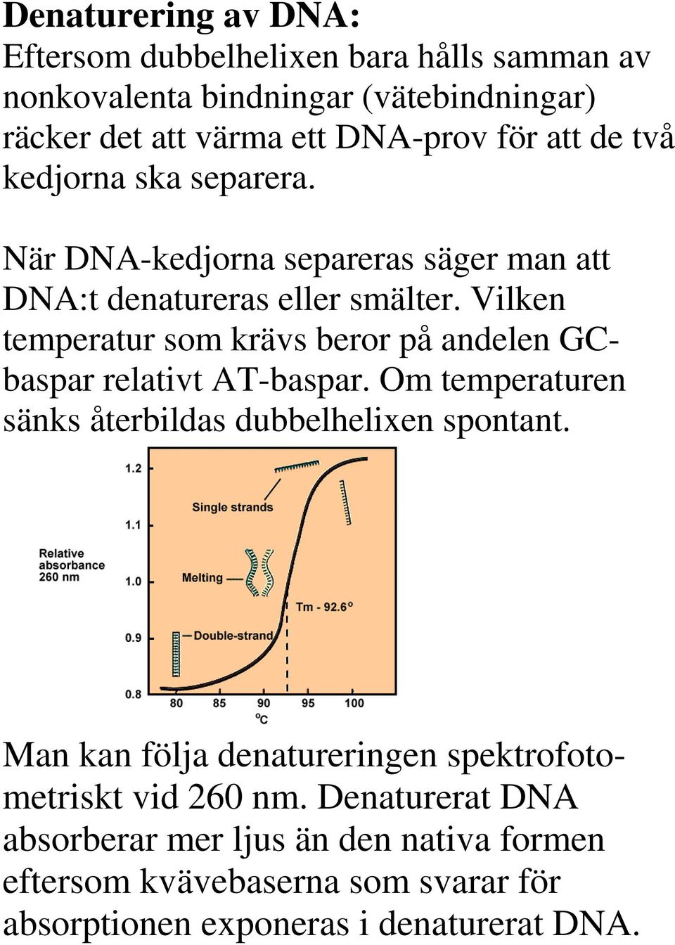 Vilken temperatur som krävs beror på andelen GCbaspar relativt AT-baspar. Om temperaturen sänks återbildas dubbelhelixen spontant.